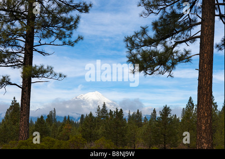 Mount Shasta from SR 89 (CA), Northern California, USA Stock Photo