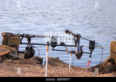 Fishing. Fishing rod on bite alarm. Carp fishing Stock Photo - Alamy