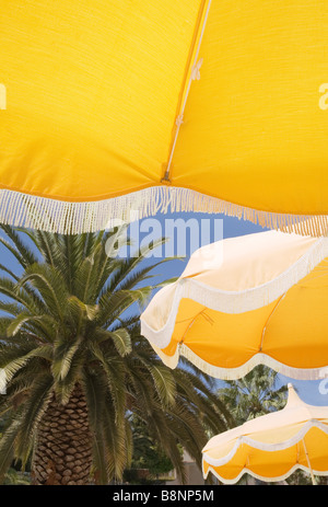 Looking upwards at yellow beach umbrellas with blue sky and palm tree behind. Stock Photo