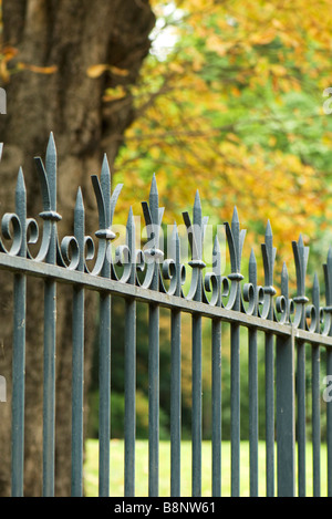 Ornate wrought iron fence Stock Photo