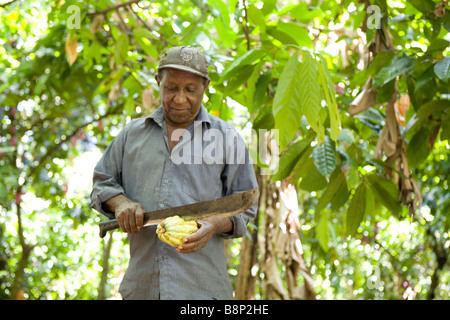 Cocoa farmer, Dominican Republic Stock Photo