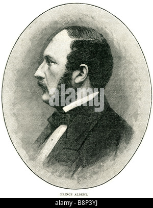 Prince Albert Saxe-Coburg Gotha Francis 1819 1861 Queen Victoria United Kingdom Great Britain Ireland Stock Photo