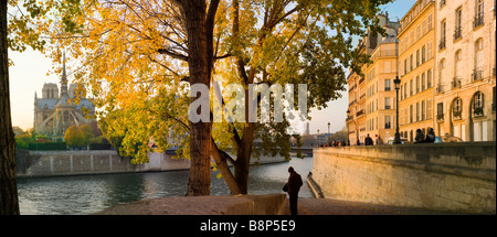 Notre Dame viewed over the river Seine Paris France Stock Photo