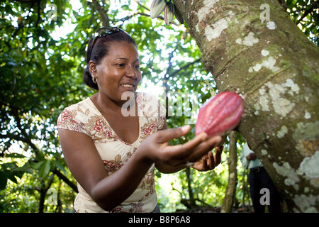 Cocoa farmer, Dominican Republic Stock Photo