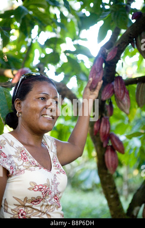 Cocoa farmer, Dominican Republic Stock Photo