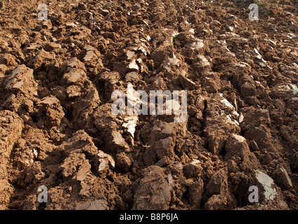 Close up of earth in ploughed/plowed field UK Stock Photo