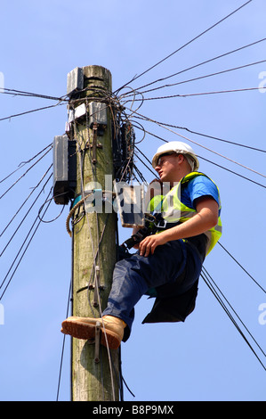 "Telephone Engineer" at work on a “telegraph pole”, Britain, UK Stock Photo