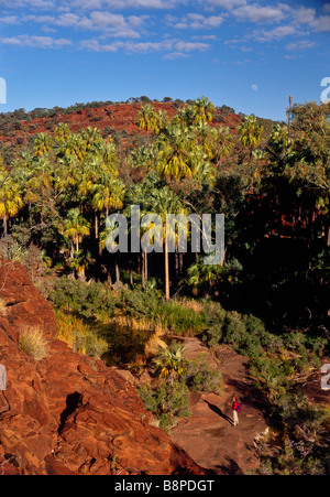 Palm Valley, Central Australia Stock Photo