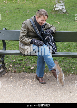 Woman with very tame squirrel sitting on her foot Hyde park London UK Stock Photo