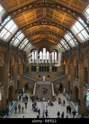 Central hall of the Natural History Museum in London UK Stock Photo