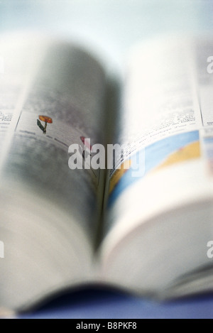 Reference book dictionary with pages open symbolising learning ...