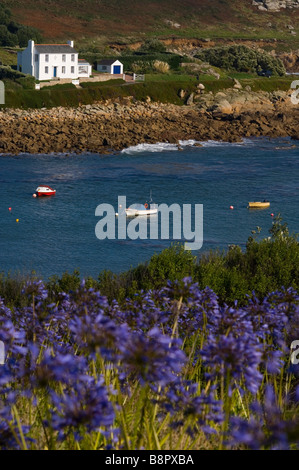 A line of three moored boats in Old Town Bay. St Mary's. The Isles of Scilly. Cornwall. SW England. UK Stock Photo