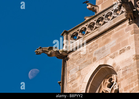 A gargoyle on the Mirepoix cathedral, France Stock Photo