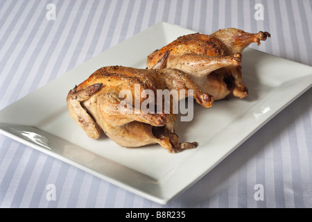 Photo of oven roasted cornish game hens Stock Photo