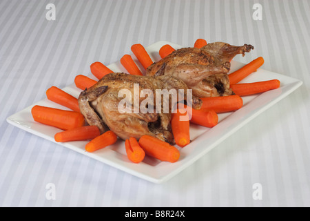 Photo of oven roasted cornish game hens Stock Photo