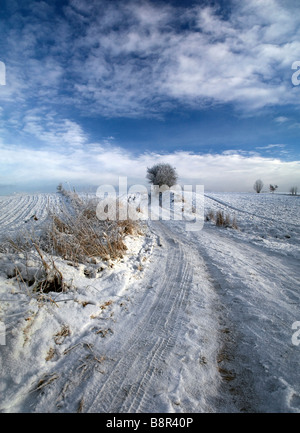 Winter Masurian Landscape Poland Stock Photo Alamy winter-masurian-landscape-poland-stock-photo-alamy