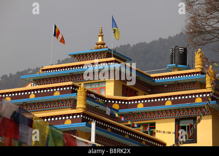 Nepal Kathmandu Valley Pharping tibetan buddhist monastery dancing monk ...