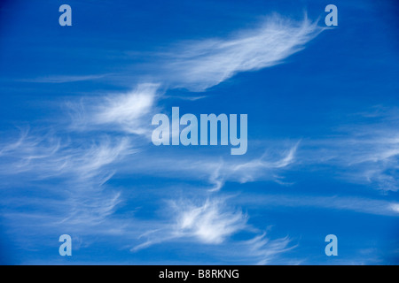 Cirrus clouds float across a blue sky. Stock Photo