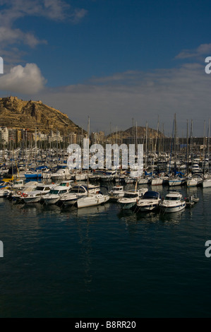 Alicante Spain Marina With The Castillo De Santa Barbara in the Distance Stock Photo