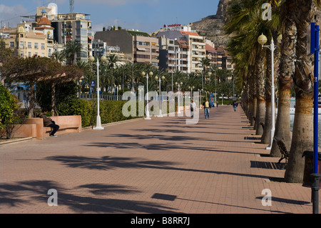 Palm Tree Lined seafront waterfront Harbourfront Walk Alicante Spain Stock Photo
