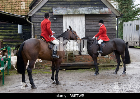 Huntsman Whipper in and foxhounds of the Essex and Suffolk Hunt England Stock Photo