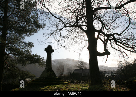 Grave stone and tree in morning light Stock Photo