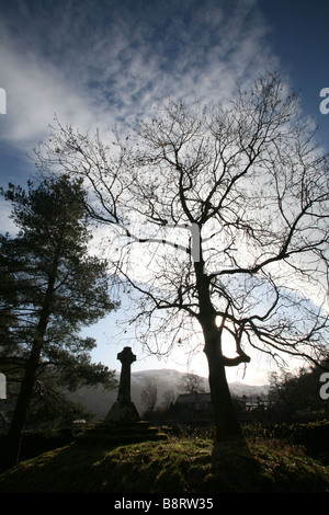 Grave stone and tree in morning light Stock Photo