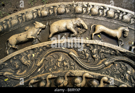 moon stone at Mahasen palace in Anuradhapura, Sri Lanka Stock Photo