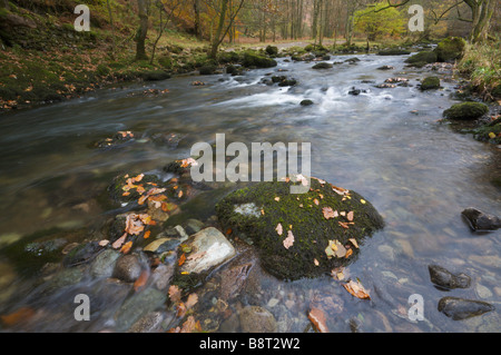 River with mossy boulders and autumn leaves Stock Photo