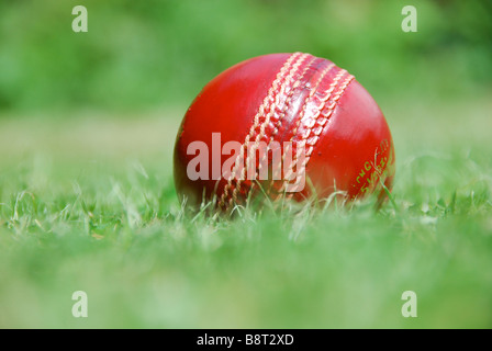 low-angle shot with shallow depth of field showing a cricket ball at rest in the outfield of a cricket pitch