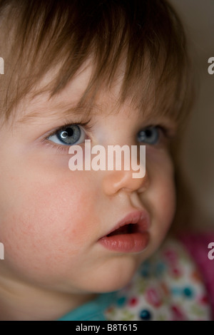 A portrait of a seventeen month old baby girl Stock Photo