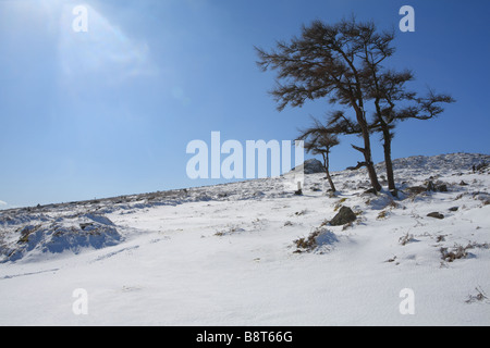 Looking up at Haytor on sunny day after overnight snow, Dartmoor, Devon, England, UK Stock Photo
