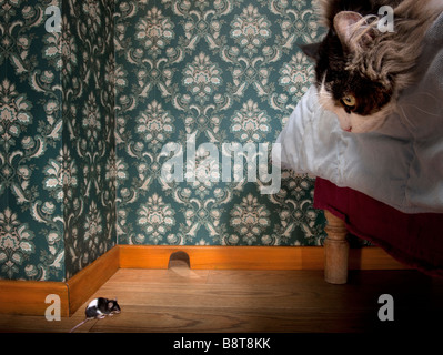 Cat and mouse in a luxury old fashioned room Stock Photo