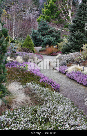 THE WINTER GARDEN AT RHS ROSEMOOR IN LATE FEBRUARY Stock Photo