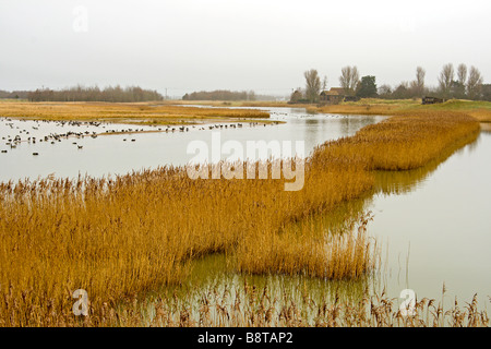 Tennyson Lake at Gibraltar Point Skegness Lincolnshire Stock Photo