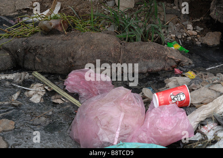 Dead Malayan Water Monitor Lizard Varanus salvator in sewage outfall lying among litter Semporna Sabah Malaysia Borneo South eas Stock Photo