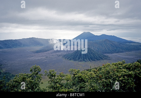 Mount Bromo and Gunung Semeru, volcanos, Indonesia, Java Stock Photo