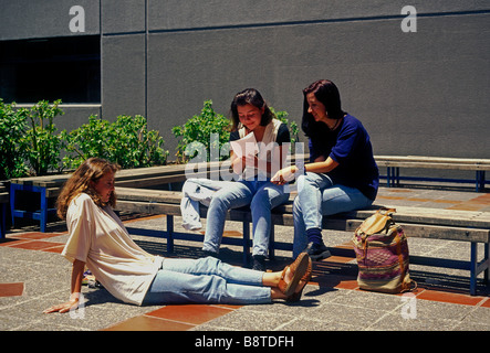 university students, college students, students, on campus, campus, Catholic University, city of Quito, Pichincha Province, Ecuador, South America Stock Photo