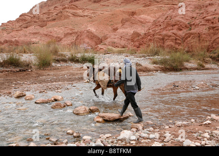 Man with donkey in Vallée des Roses, in the M'Goun area (Marocco). Stock Photo