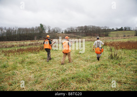 REAR VIEW TWO UPLAND BIRD HUNTERS AND WALKING FIELD OF SORGUM GEORGIA Stock Photo