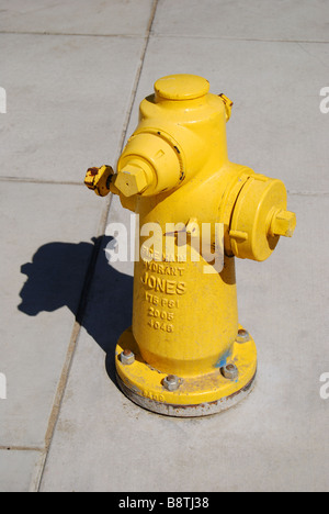 Fire hydrant on sidewalk, Los Angeles, California, United States of America Stock Photo