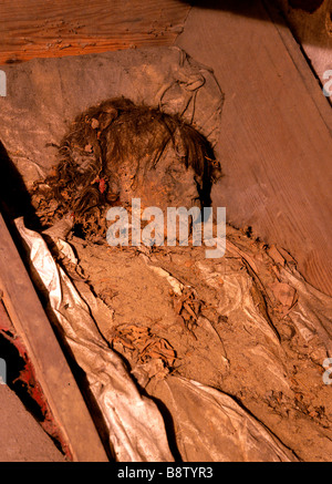 Poland Krakow tombs of mummies in Cripts of St Casimir Sanctuary Stock Photo