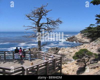 Viewing Platform, 17- Mile Drive, California, USA Stock Photo