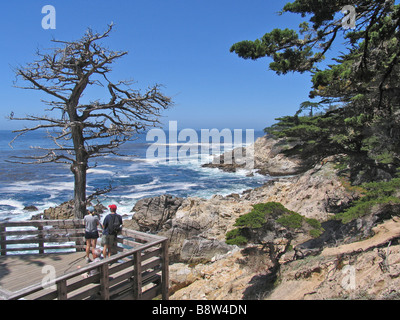 Viewing Platform, 17- Mile Drive, California, USA Stock Photo