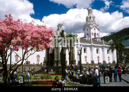 Metropolitan cathedral into the Independance place in the old Quito Pinchincha Province Stock Photo