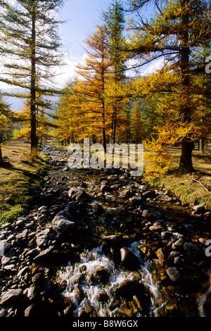 Autumn landscape in the Mercantour national park Stock Photo