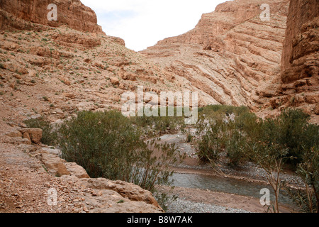 Gorge and river in Vallée des Roses, in the M'Goun area (Marocco). Stock Photo