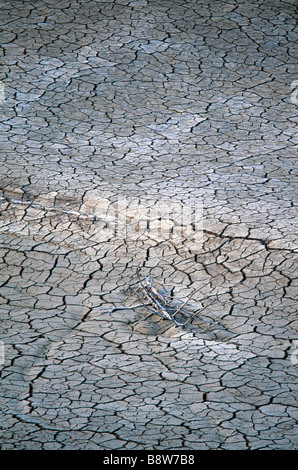 dry soil in south France Stock Photo