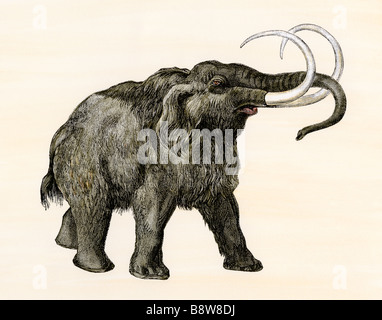 Wooly mammoth. Hand-colored woodcut Stock Photo