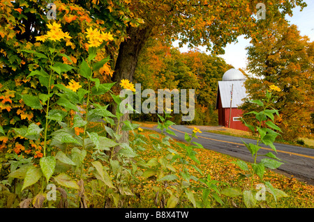 An autumn scene with red barn and silo with flowers and roadway near Peacham Vermont USA Stock Photo